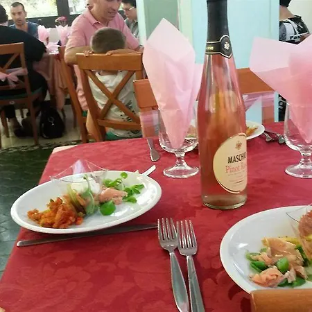 奥切德酒店 酒店 切塞纳蒂科